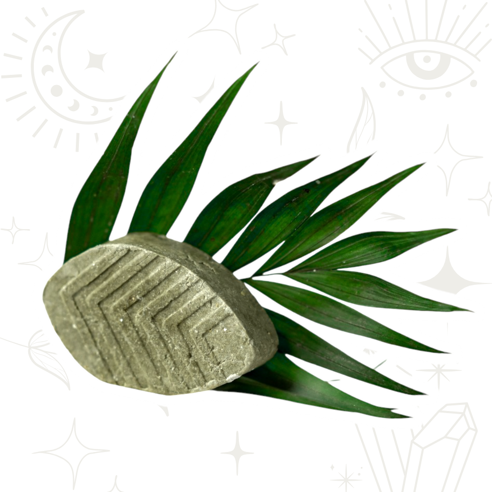 Shampoo "Anticaída" con Tea Tree, Espirulina y Moringa