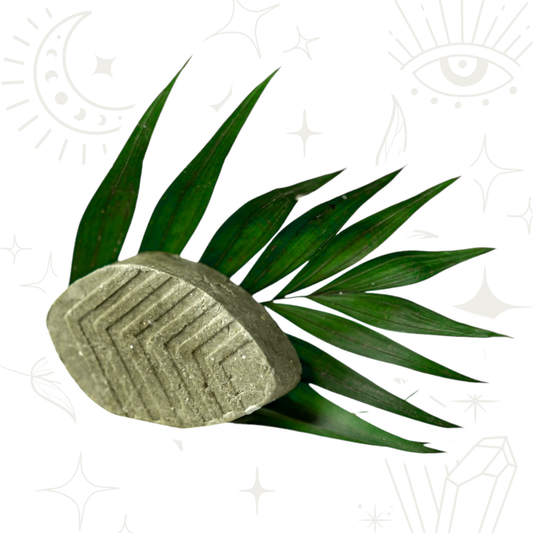 Shampoo "Anticaída" con Tea Tree, Espirulina y Moringa