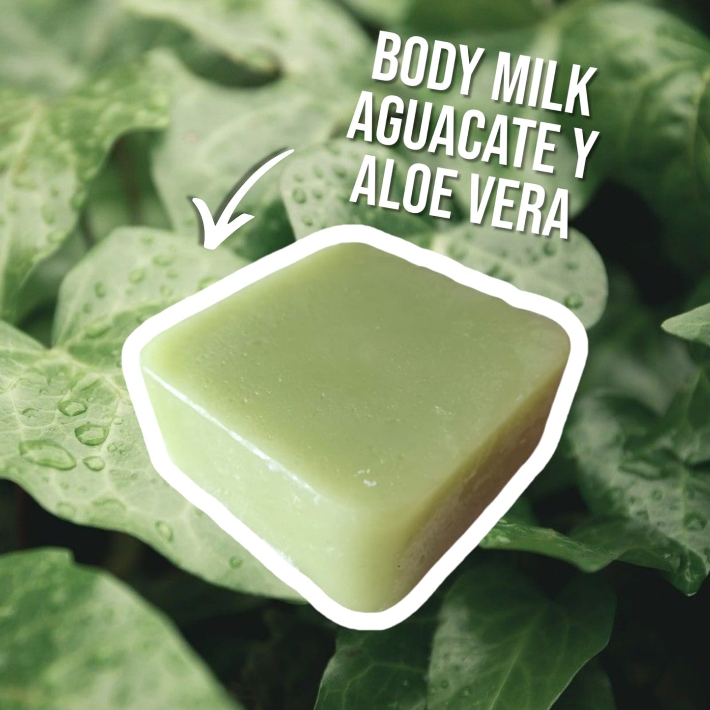 Body Milk Hidratante de Aguacate y Aloe Vera