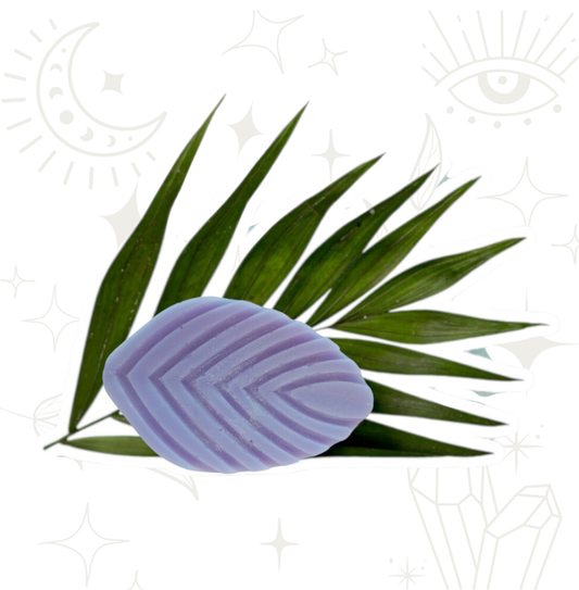 Acondicionador "Magia Herbal" con Salvia, Lavanda y Romero