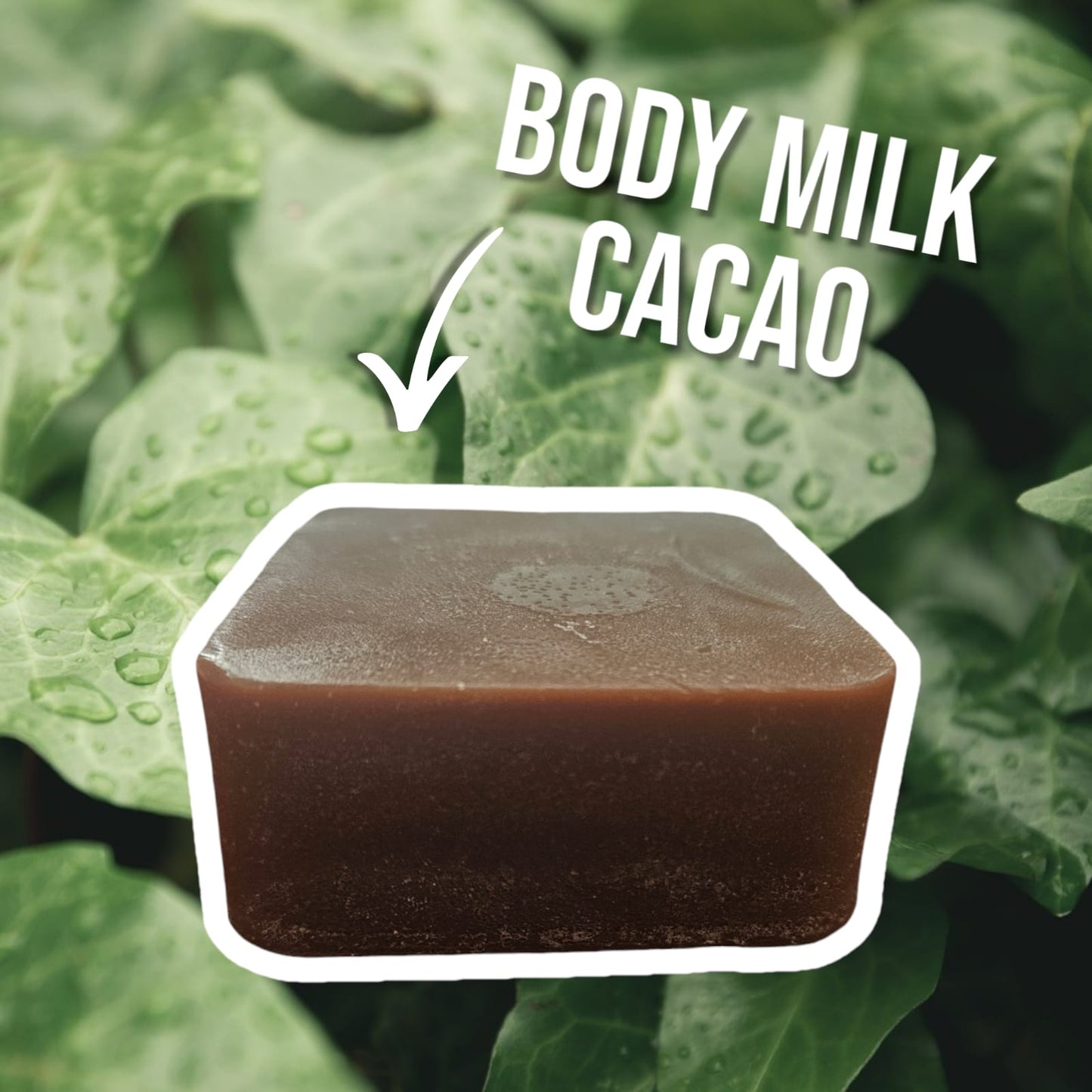 Body Milk Hidratante de Cacao y Coco