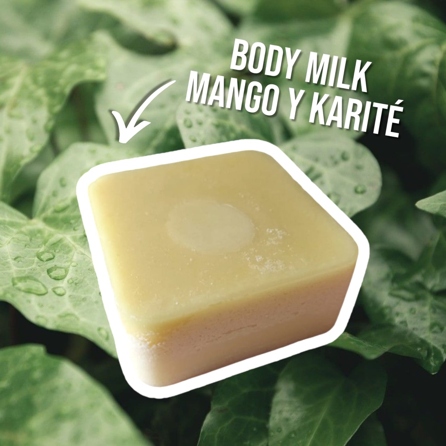 Body Milk Hidratante de Mango y Karité