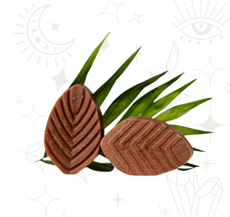 Dúo Capilar "Hidratación" de Cacao