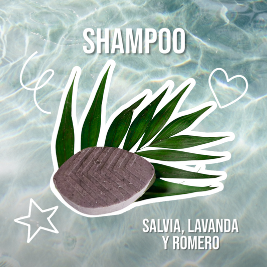 Shampoo "Magia Herbal" con Salvia, Lavanda y Romero