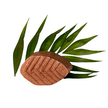 Shampoo "Hidratación" con Cacao, Karité y Argán